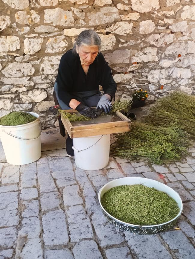 Γιαγιά Μαγδαληνή Γεύση Βουνού